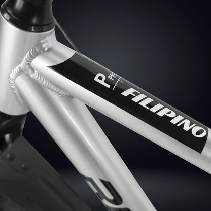 ROADGIANT Filipino 27.5T | MTB | Aluminum Alloy Frame Bicycle | Dual Disc Brakes | Single Speed | Front Suspension | Unisex | for All-Terrain Riding (Silver) 