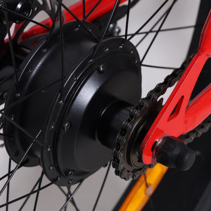 RYD E-5 Fat Mountain Electric Cycle with 36V, 250W BLDC Motor, Steel Frame, 8.7Ah Battery, Disc Brake, Rechargeable, 26 Inch, 5" Multi-Function Display with USB Charging 