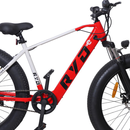 RYD E-5 Fat Mountain Electric Cycle with 36V, 250W BLDC Motor, Steel Frame, 8.7Ah Battery, Disc Brake, Rechargeable, 26 Inch, 5" Multi-Function Display with USB Charging 