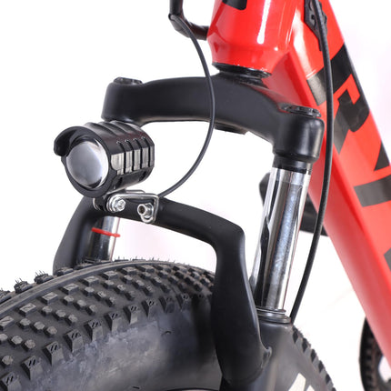 RYD E-5 Fat Mountain Electric Cycle with 36V, 250W BLDC Motor, Steel Frame, 8.7Ah Battery, Disc Brake, Rechargeable, 26 Inch, 5" Multi-Function Display with USB Charging 