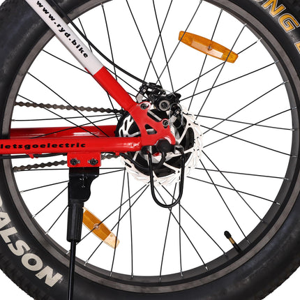 RYD E-5 Fat Mountain Electric Cycle with 36V, 250W BLDC Motor, Steel Frame, 8.7Ah Battery, Disc Brake, Rechargeable, 26 Inch, 5" Multi-Function Display with USB Charging 