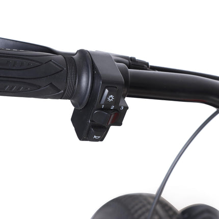 RYD E-5 Fat Mountain Electric Cycle with 36V, 250W BLDC Motor, Steel Frame, 8.7Ah Battery, Disc Brake, Rechargeable, 26 Inch, 5" Multi-Function Display with USB Charging 