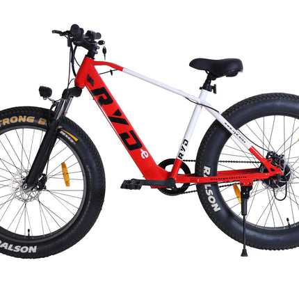 RYD E-5 Fat Mountain Electric Cycle with 36V, 250W BLDC Motor, Steel Frame, 8.7Ah Battery, Disc Brake, Rechargeable, 26 Inch, 5" Multi-Function Display with USB Charging 