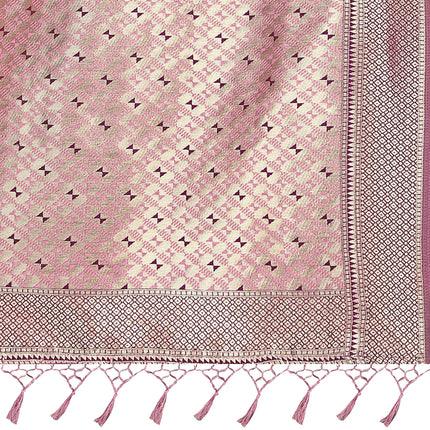 Rekha Maniyar Women's Pure Cotton Banarasi Saree with Blouse Piece (KALPANA_Rani) 