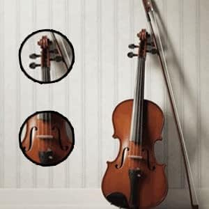 SALABLEZ Vivaldi Acoustic Violin Full Size with Bow, Rosin, Carrying Hard Case,Instrument for Beginners, Adults, Boys, Girls, Children, Kids (4/4,Brown) 