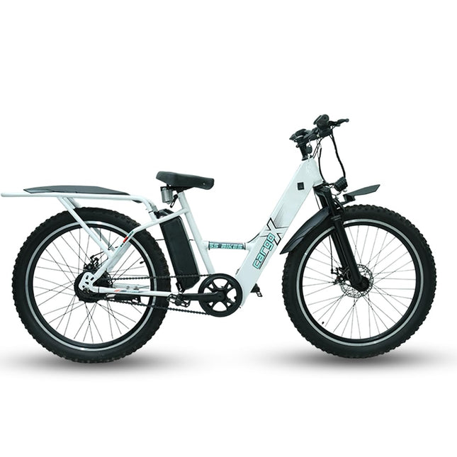 SS Bikes CargoX Heavy Duty Electric Cycle | 110+ km Range | Front Suspension | Dual Disc Brakes | LED Display & Headlight | 36V Dual Li-ion Battery (In-Built 10Ah + 12.5Ah External) | 2 Years Warranty 