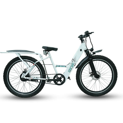 SS Bikes CargoX Heavy Duty Electric Cycle, 50 KM Range, 36V/10Ah Internal Battery, 350W BLDC Motor, Front Suspension Dual Disc Brakes, LED Display, Headlight, Top Speed 25KM, 2 Years Warranty on Motor 