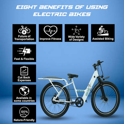 SS Bikes CargoX Heavy Duty Electric Cycle, 50 KM Range, 36V/10Ah Internal Battery, 350W BLDC Motor, Front Suspension Dual Disc Brakes, LED Display, Headlight, Top Speed 25KM, 2 Years Warranty on Motor 