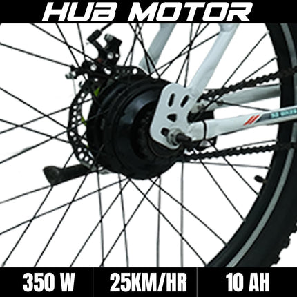 SS Bikes CargoX Heavy Duty Electric Cycle, 50 KM Range, 36V/10Ah Internal Battery, 350W BLDC Motor, Front Suspension Dual Disc Brakes, LED Display, Headlight, Top Speed 25KM, 2 Years Warranty on Motor 