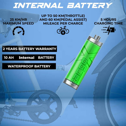 SS Bikes CargoX Heavy Duty Electric Cycle, 50 KM Range, 36V/10Ah Internal Battery, 350W BLDC Motor, Front Suspension Dual Disc Brakes, LED Display, Headlight, Top Speed 25KM, 2 Years Warranty on Motor 