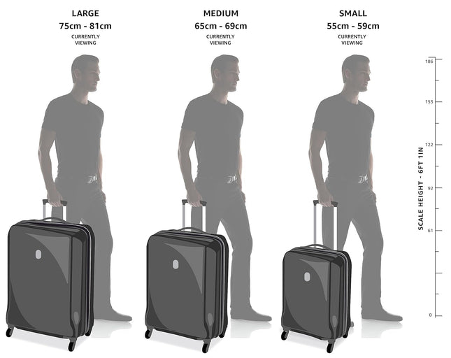 Safari Polyproplyene Hard Shell Cairo 8 Wheels, 5 Years Warranty (Cabin & Check-in) Trolley Spinner Luggage Set of 3, 55Cm, 66Cm & 75Cm, Small, Medium, Large (SAGE Green) 