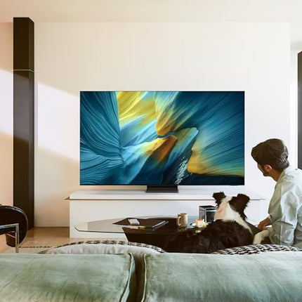 Samsung 163 cm (65 inches) 4K Ultra HD Smart OLED TV QA65S95FAULXL 