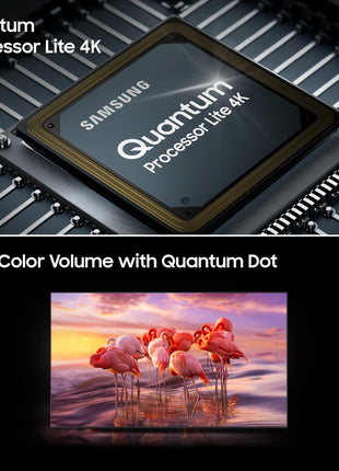 Samsung 214 cm (85 inches) 4K Ultra HD Smart Neo QLED TV QA85Q60CAKXXL (Titan Grey) 