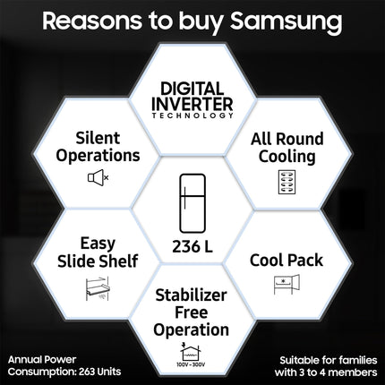 Samsung 236 L, 2 Star, Digital Inverter, Frost Free Double Door Refrigerator (RT28C3032GS/HL, Gray Silver) 