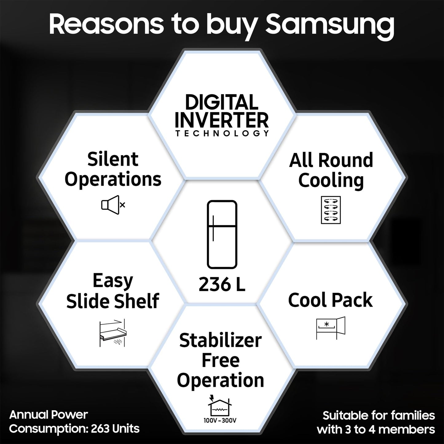 Samsung 236 L, 2 Star, Digital Inverter, Frost Free Double Door Refrigerator (RT28C3032GS/HL, Gray Silver) 