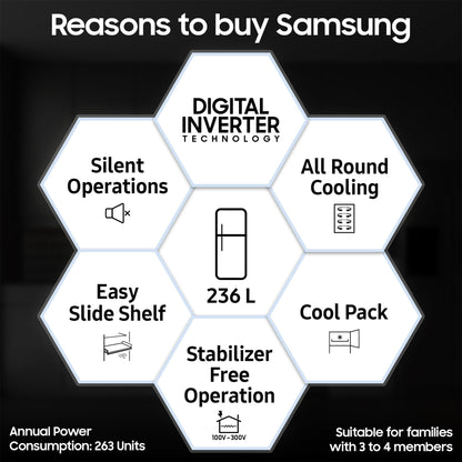 Samsung 236 L, 2 Star, Digital Inverter, Frost Free Double Door Refrigerator (RT28C3032GS/HL, Gray Silver) 