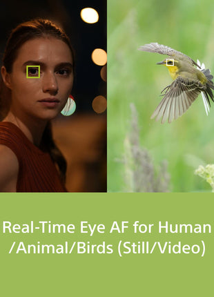 Sony Alpha ILCE-7M4K Full-Frame Hybrid Camera 33MP Interchangeable-Lens Mirrorless Camera with 28-70mm Digital Zoom Lens | 4K 60P Video Recording | Real-Time Eye AF for Humans, Birds, Animals - Black 