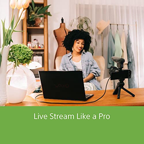 Sony Alpha ZV-E10 APS-C Camera | 24.2 MP vlog Camera | Made for Creators | Advanced Autofocus | Clear Audio & 4K Movie Recording - Black 