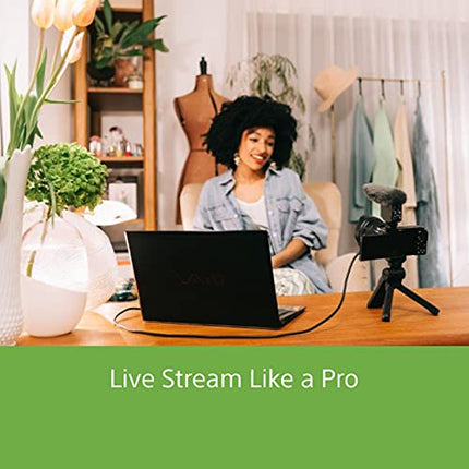 Sony Alpha ZV-E10L 24.2 Mega Pixel Interchangeable-Lens Mirrorless vlog Camera with 16-50 mm Lens, Made for Creators | APS-C Sensor | Advanced Autofocus | Clear Audio & 4K Movie Recording - Black 