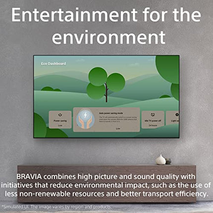 Sony Bravia 164 cm (65 inches) XR Series 4K Ultra HD Smart OLED Google TV XR-65A80L (Black) 