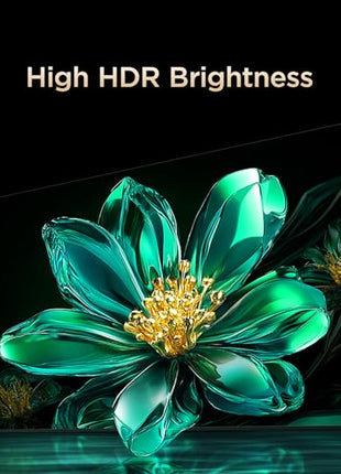 TCL 164 cm (65 inches) 4K UHD Smart QD-Mini LED Google TV 65Q6C 