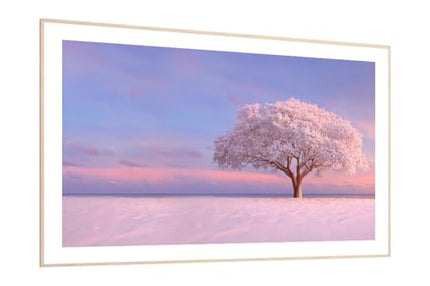 TCL 164 cm (65 inches) Frame Series 4K UHD Smart QLED Google TV 65A300W 