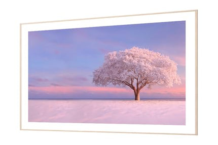 TCL 164 cm (65 inches) Frame Series 4K UHD Smart QLED Google TV 65A300W 