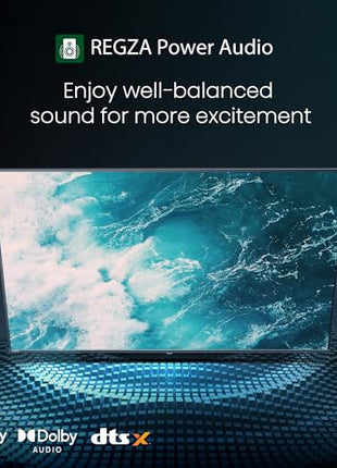 TOSHIBA 139 cm (55 inches) C350NP Series 4K Ultra HD Smart LED Google TV 55C350NP (Black) 