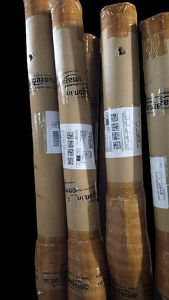 Thailand Litchi Plant Hybrid All Seasons (1-2 Ft) Sweet Tropica Rare Exotic Air Layered Lychee Tree Litchi Plant Hybrid Fruit After 2-3 Year Live Lychee fruits Lichi chettu 