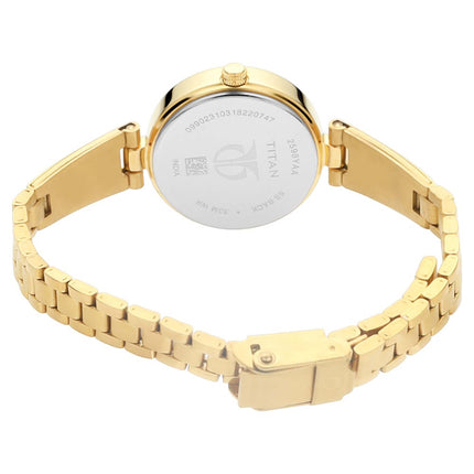 Titan Quartz Analog Silver Dial Metal Strap Watch for Women-NN2598YM02 