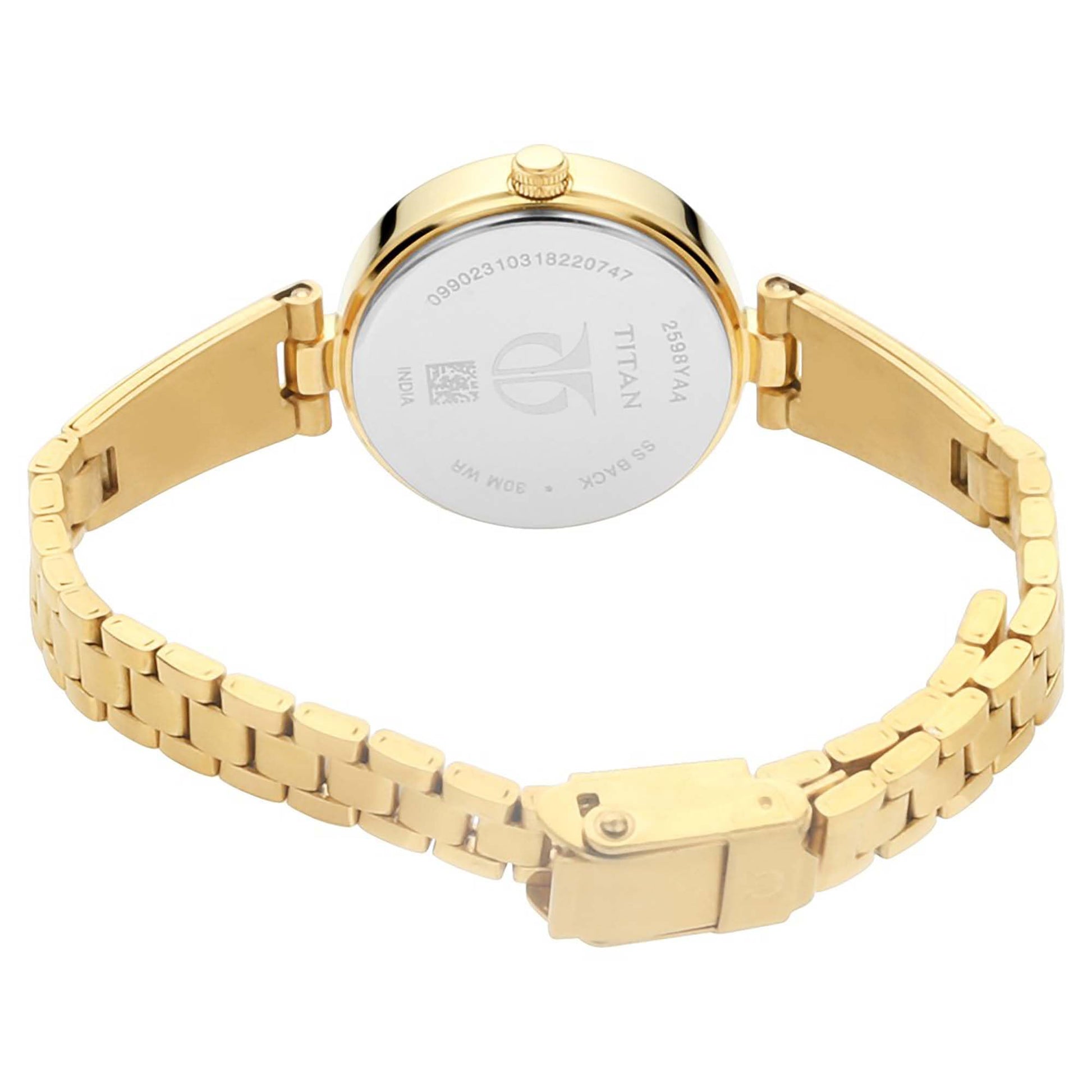 Titan Quartz Analog Silver Dial Metal Strap Watch for Women-NN2598YM02 