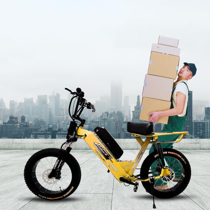 VIGOREBIKE Cargo Unisex Electric Bicycle Fat Tyre Cycle 20 x 400 Inches Lithium Ion E-Moto Bike 100 KM Range 48V Battery (Matt Black) 