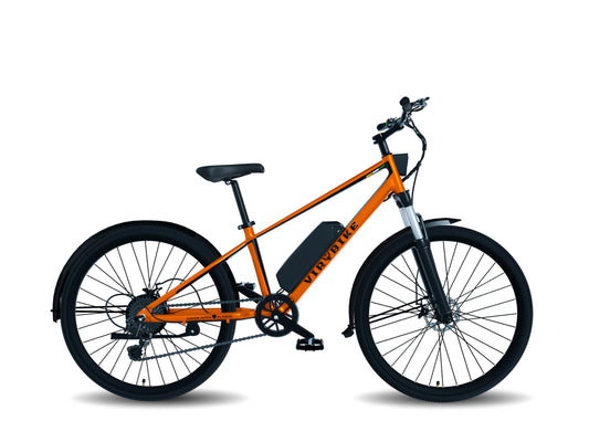 VIR BIKE V2 Unisex 29" Aluminium Alloy Electric Cycle, 13Ah Removable Battery, LCD Display, 7-Speed, 250W BLDC Motor (McLa Orange) (McLa Orange, 29, 10, Amp Hours) 