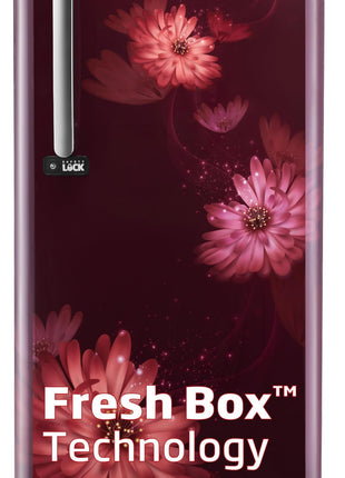 Voltas Beko ‘A Tata Product’ 210 L 3 star Made-in-India Direct cool Refrigerator (RDC245C / W0DWE0M000UGD, Dahlia Wine) 
