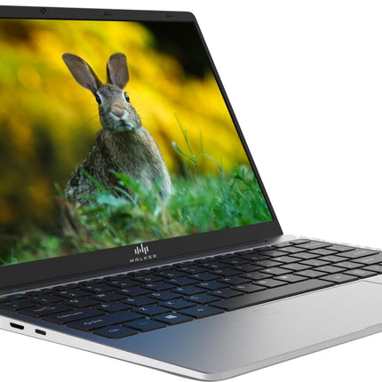 Walker Best Student &Office Work Laptop|Thin & Light|14.1" 1920 * 1080 Resolution FHD IPS Display |4GB RAM,128GB SSD|Celeron Processor N4020 (Gemini Lake)| Windows 11 Home | Silver 