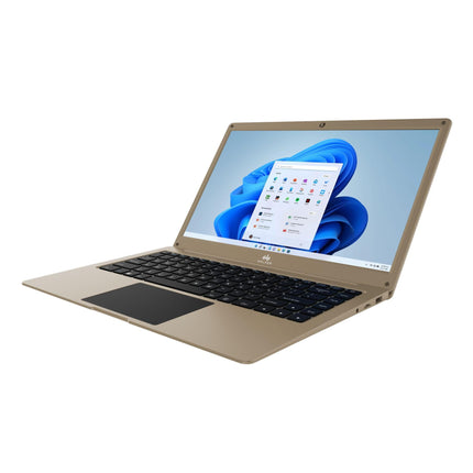 Walker Thin & Light Laptop,14.1"(4GB RAM,128GB SSD)| FHD IPS Display 1920 * 1080 Resolution | Celeron Processor N4020 (Gemini Lake)| UHD Graphics 600|Webcam | Windows 11 Home | Champagne Gold 
