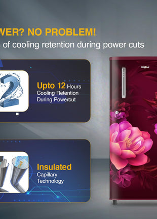 Whirlpool 184 L 2 Star Direct-Cool Single Door Refrigerator (205 WDE PRM 2S WINE SERENA-Z) 