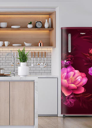 Whirlpool 184 L 2 Star Direct-Cool Single Door Refrigerator (205 WDE PRM 2S WINE SERENA-Z) 