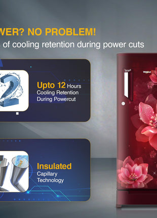 Whirlpool 192 L 4 Star Direct-Cool Single Door Refrigerator with Base Drawer (215 IMPC ROY 4S Wine Mulia-Z) 