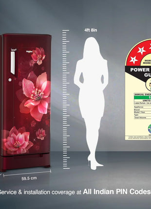 Whirlpool 192 L 4 Star Direct-Cool Single Door Refrigerator with Base Drawer (215 IMPC ROY 4S Wine Mulia-Z) 