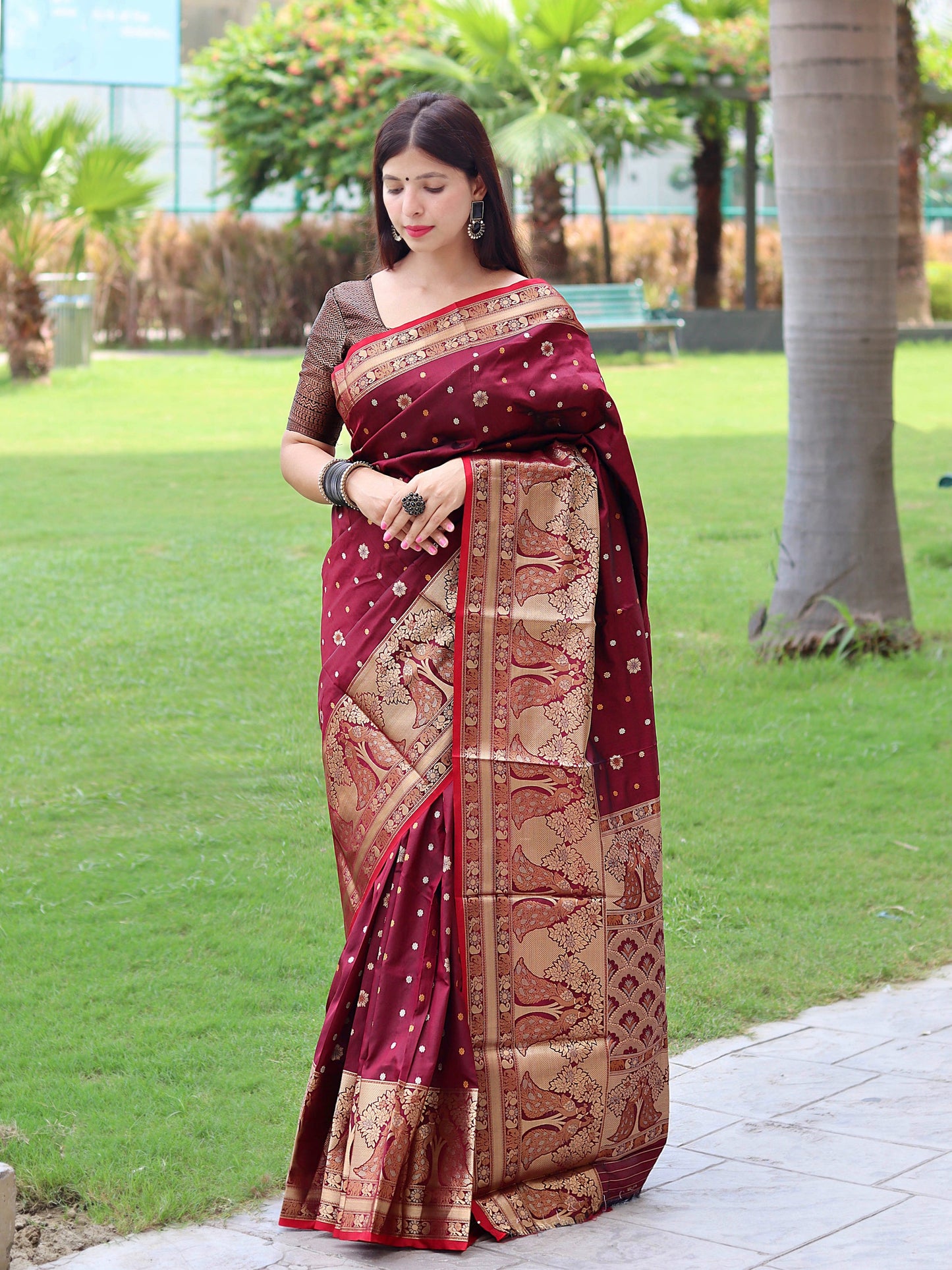 Sangam Soft Silk Saree Three Colored Zari Woven Saree Brown Saris & Lehengas