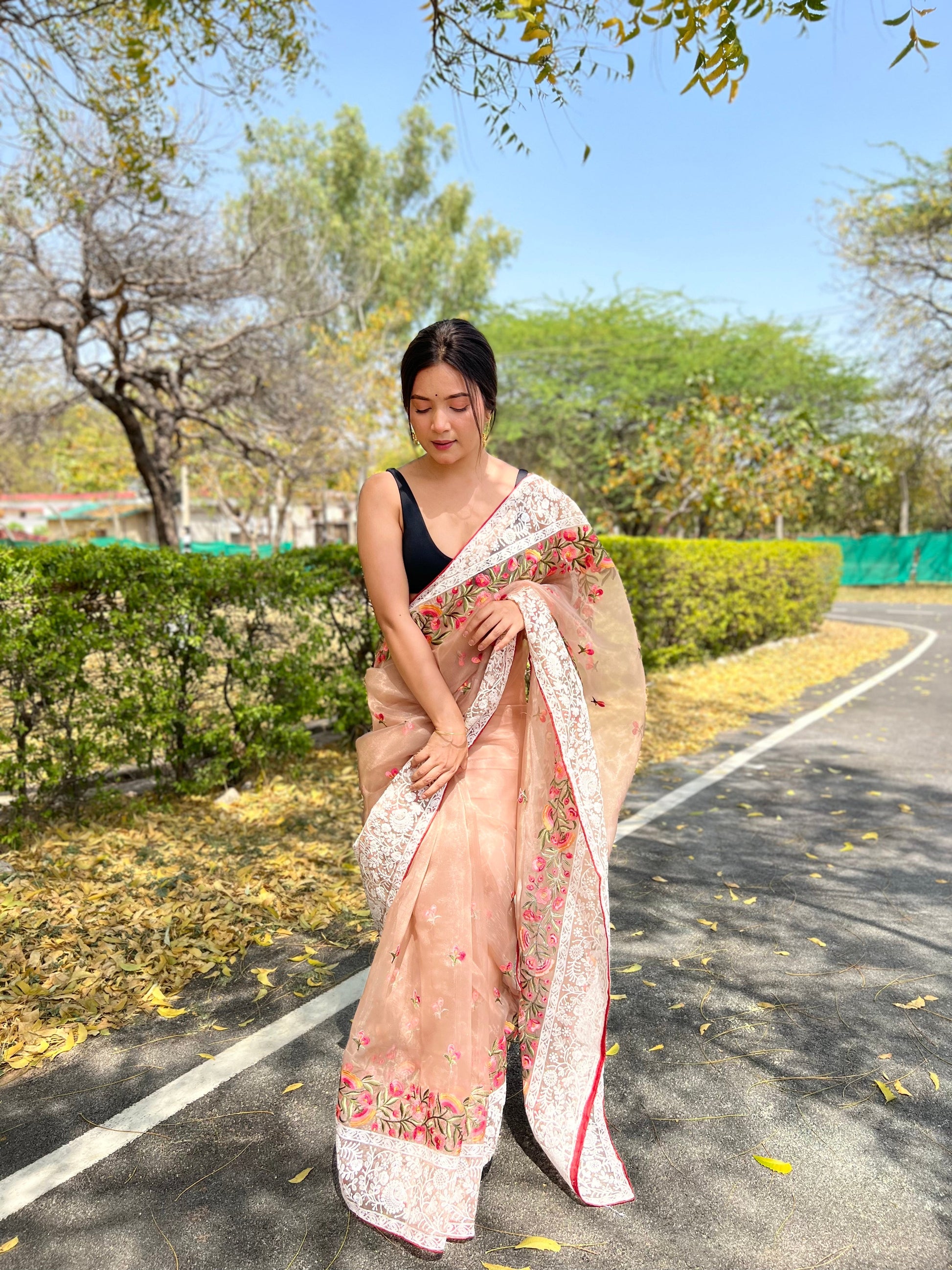 Organza Lucknowi Chikankari Multicolor Viscose Work Saree Taupe